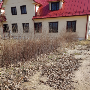 darbu daudz, piemēram, krūmu apgriešana.